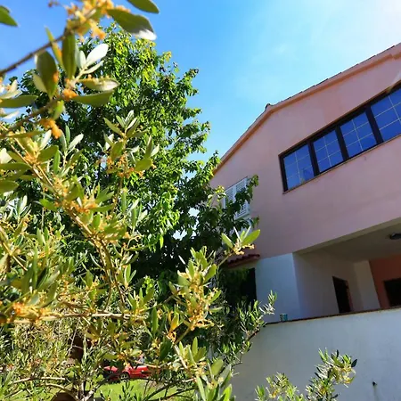 House Kia Tatil Evi *